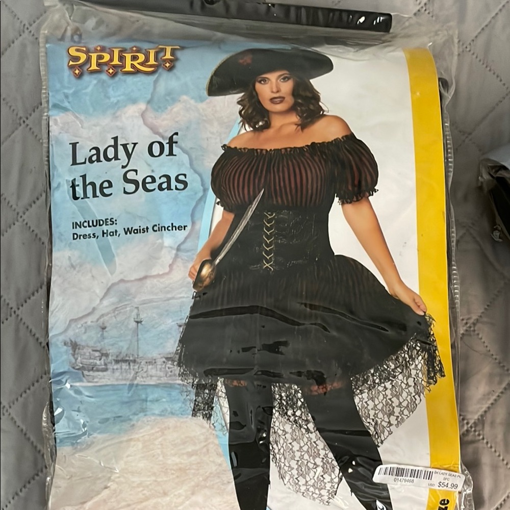 Spirit Nautical Enchantress costume Black/Burgandy Dress, corset and hat only
